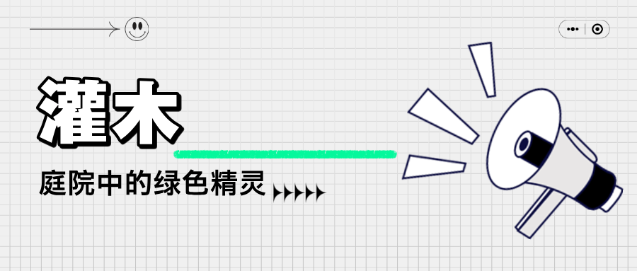 灌木：庭院中的绿色精灵