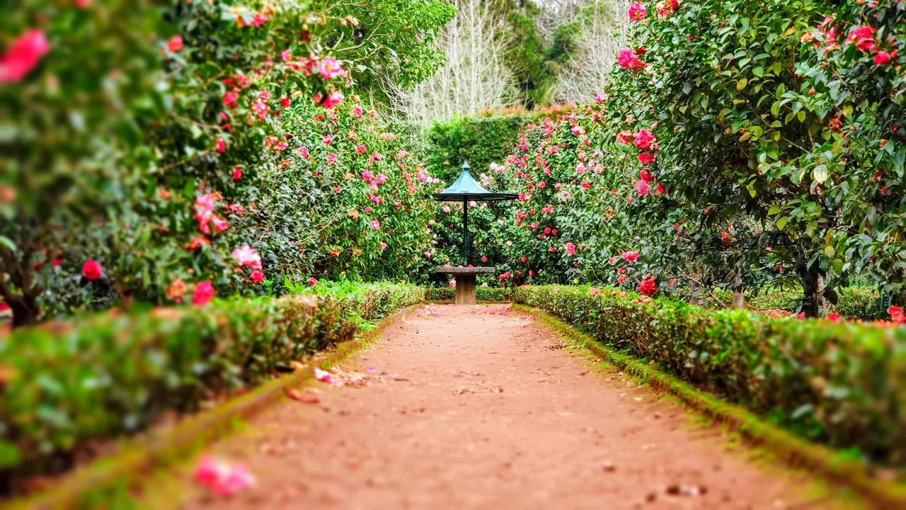 根植西北 绿满山河